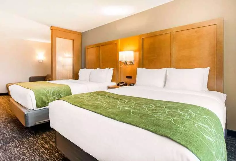 ホテル Comfort Suites North Charleston  Ashley Phosphate