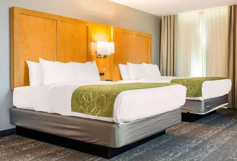 ホテル Comfort Suites North Charleston  Ashley Phosphate