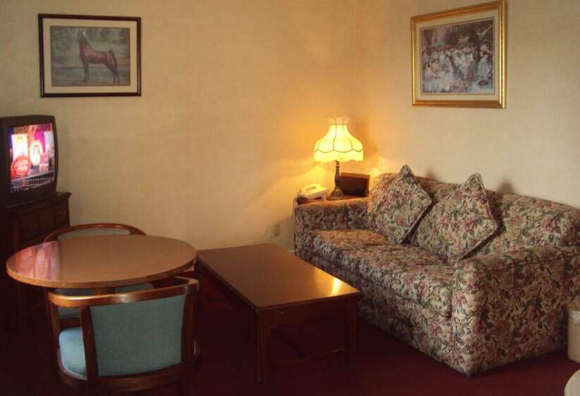 酒店 Executive Inn