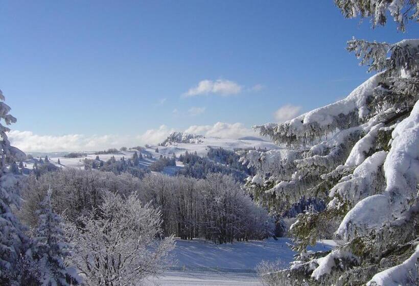 ホテル Hôtel Beau Site