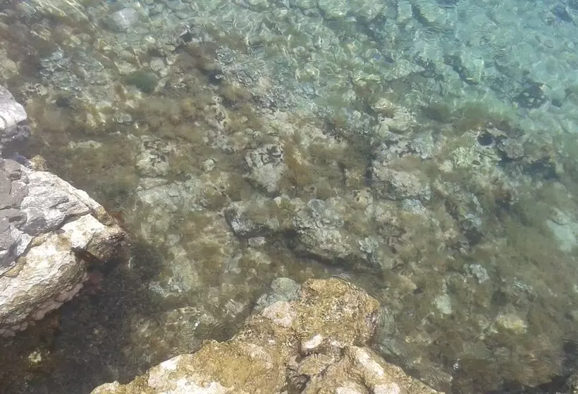 Hotelli Vila Blu Inn