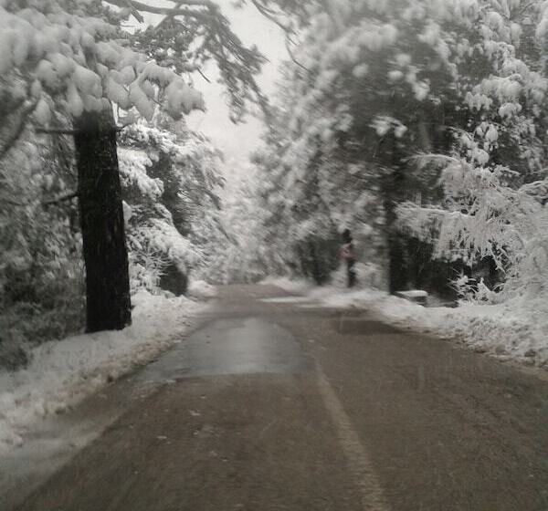 ホテル Vila Blu Inn