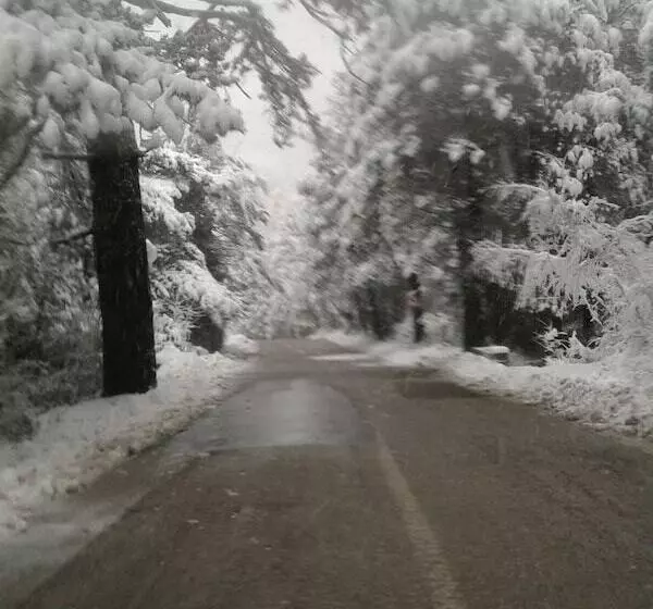 Hotelli Vila Blu Inn