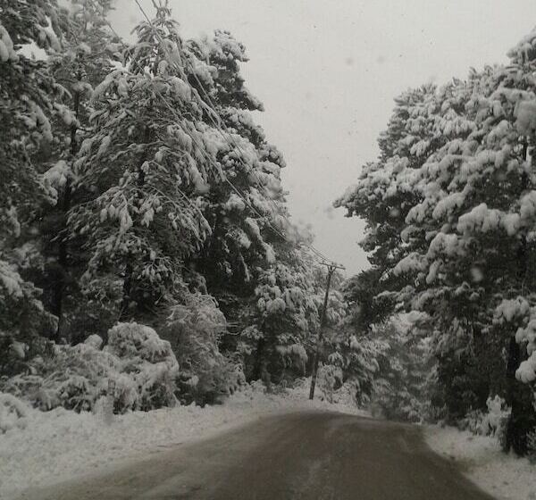 ホテル Vila Blu Inn