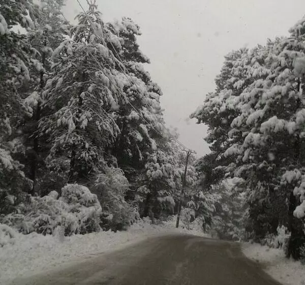 Hotelli Vila Blu Inn