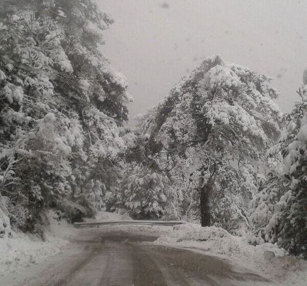 ホテル Vila Blu Inn