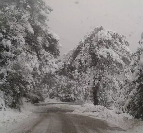 Hotelli Vila Blu Inn