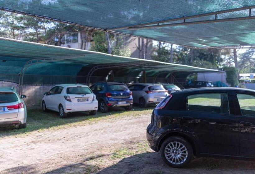 Отель Villa Aspe