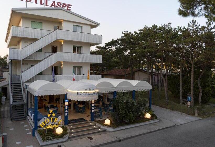 Отель Villa Aspe