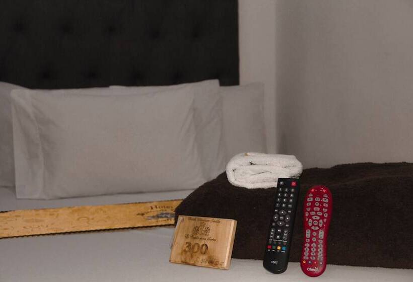 בית מלון כפרי Windsor Castle