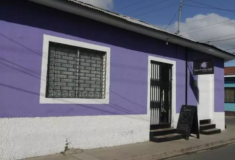 Luna International Hostel