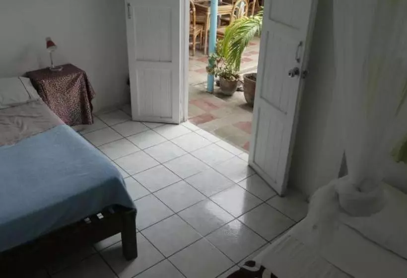 Luna International Hostel