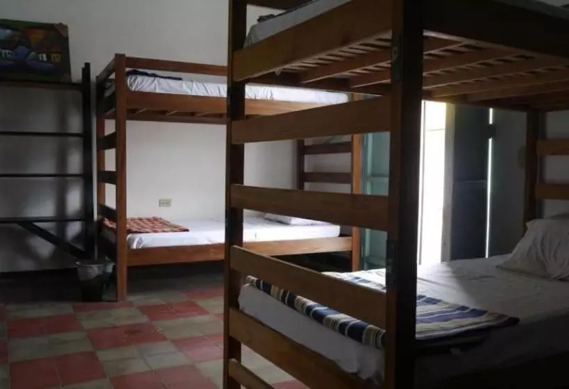 Luna International Hostel