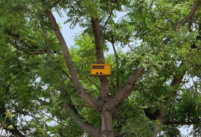 Nature Resort