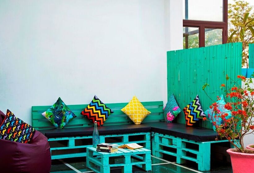 Zostel South Delhi   Hostel