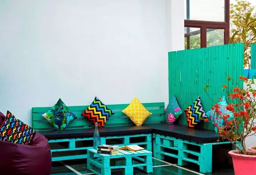 Zostel South Delhi   Hostel