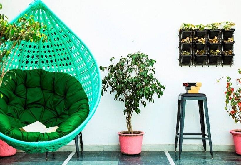 Zostel South Delhi   Hostel