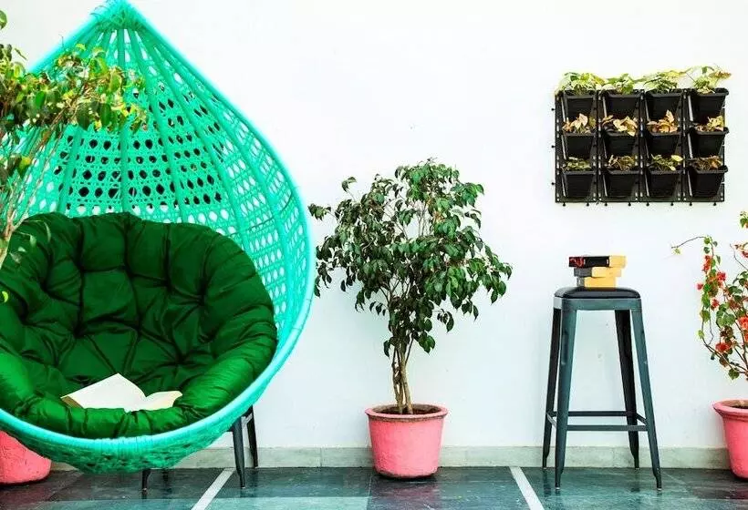 Zostel South Delhi   Hostel