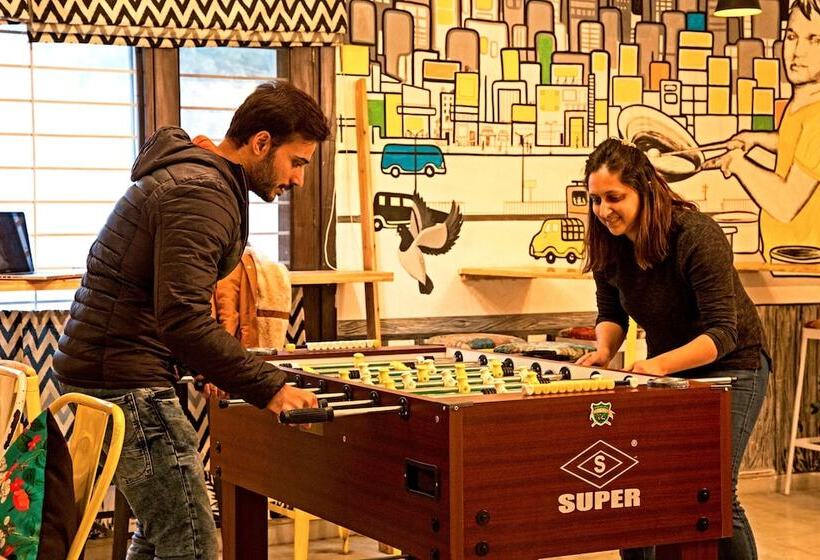 Zostel South Delhi   Hostel