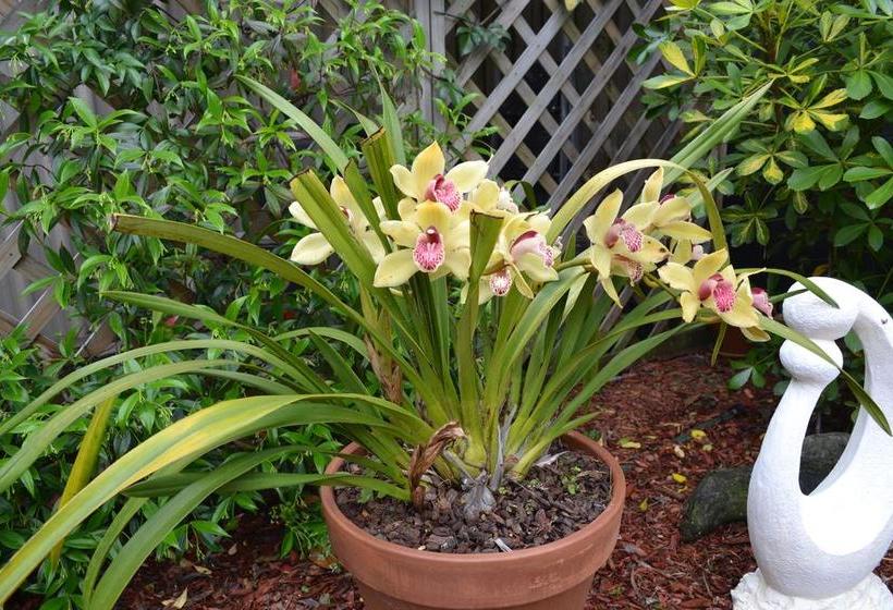 Bed and Breakfast Annie's Bnb At 7c