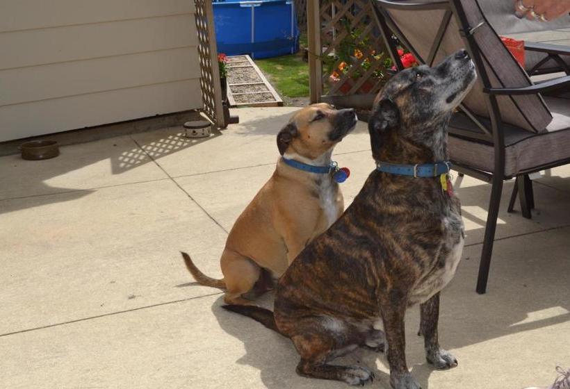 Bed and Breakfast Annie's Bnb At 7c