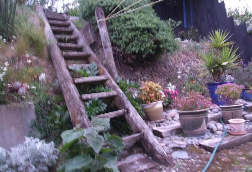 Bed and Breakfast Annie's Bnb At 7c