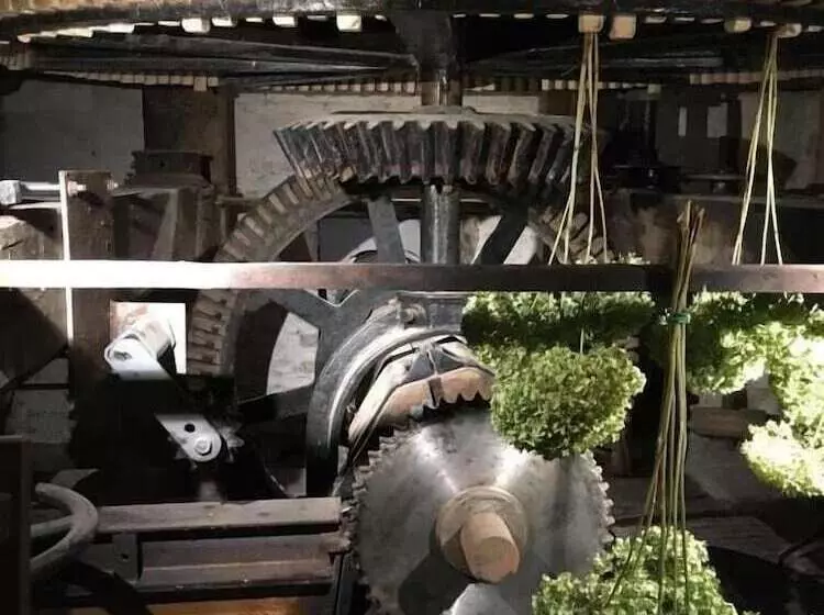 ベッドアンドブレックファースト De Ruttermolen