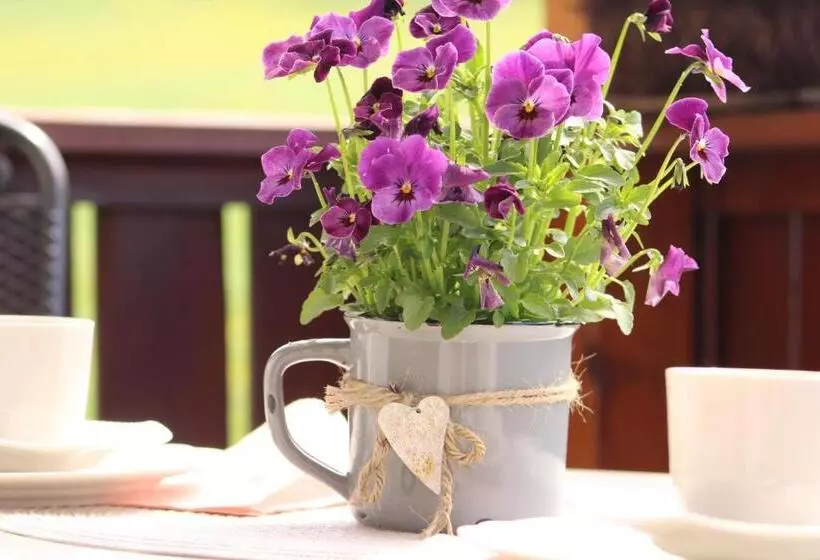 Hotelli Gästehaus Sporrer