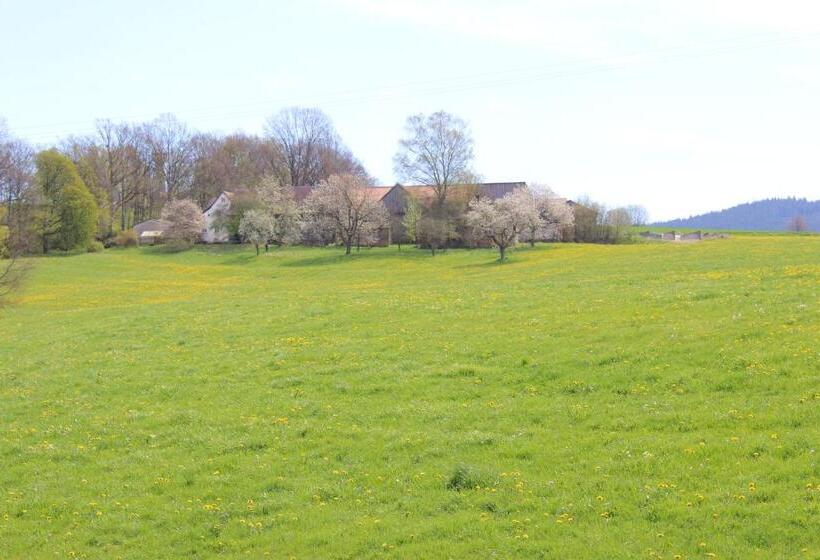 酒店 Gästehaus Sporrer