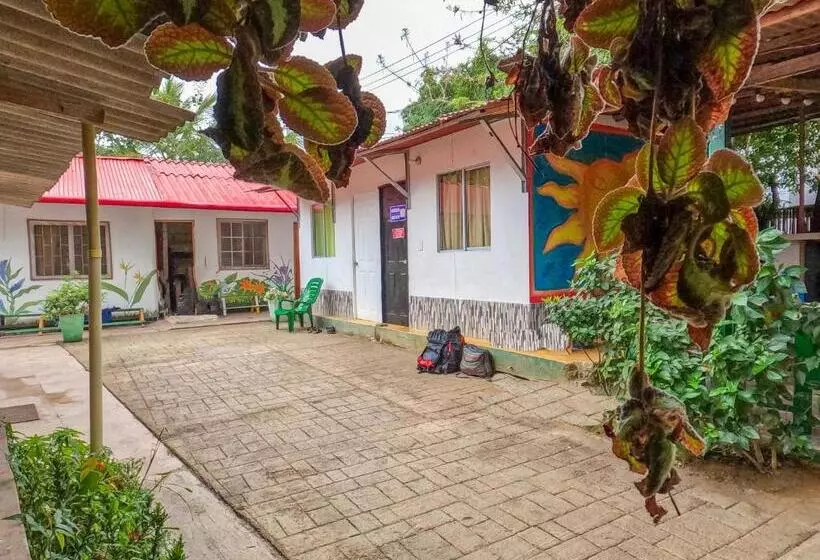 Palomino Hostel