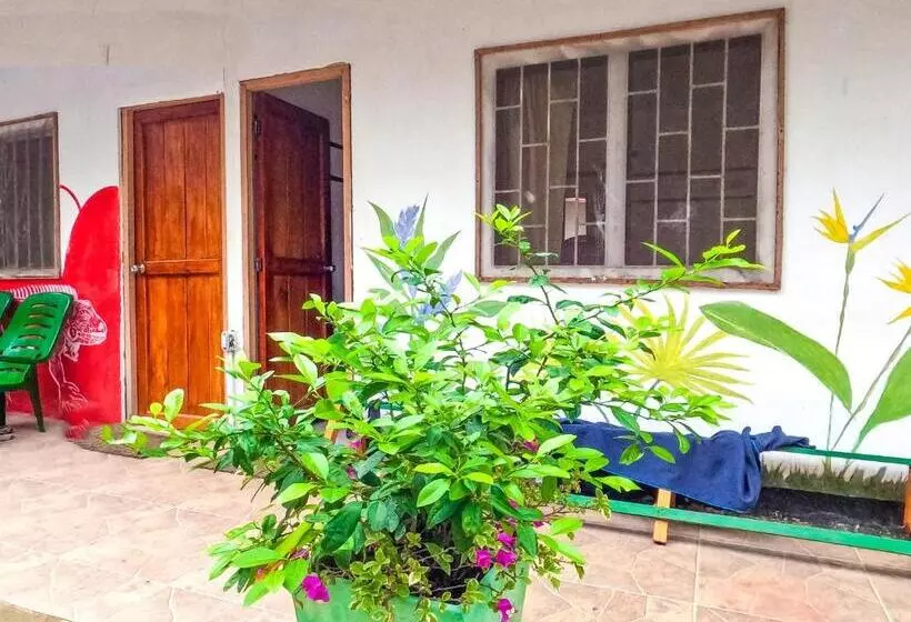 Palomino Hostel