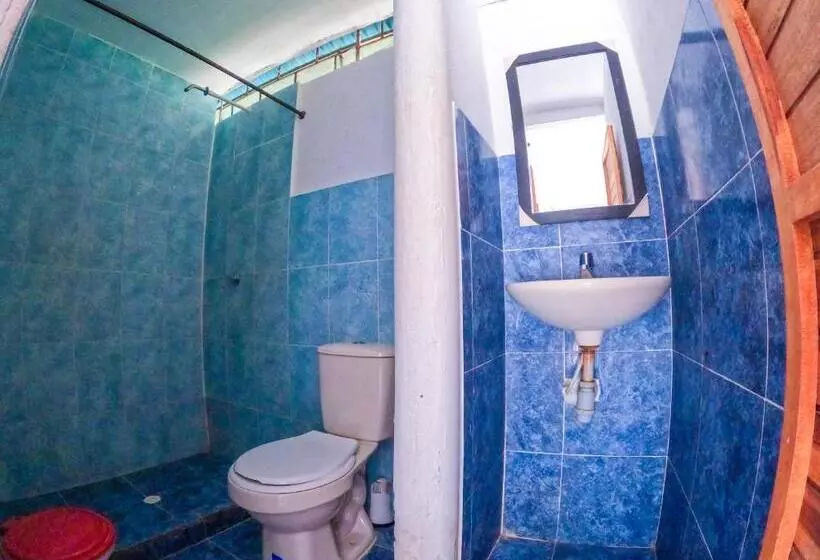 Palomino Hostel