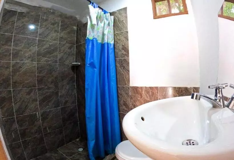 Palomino Hostel