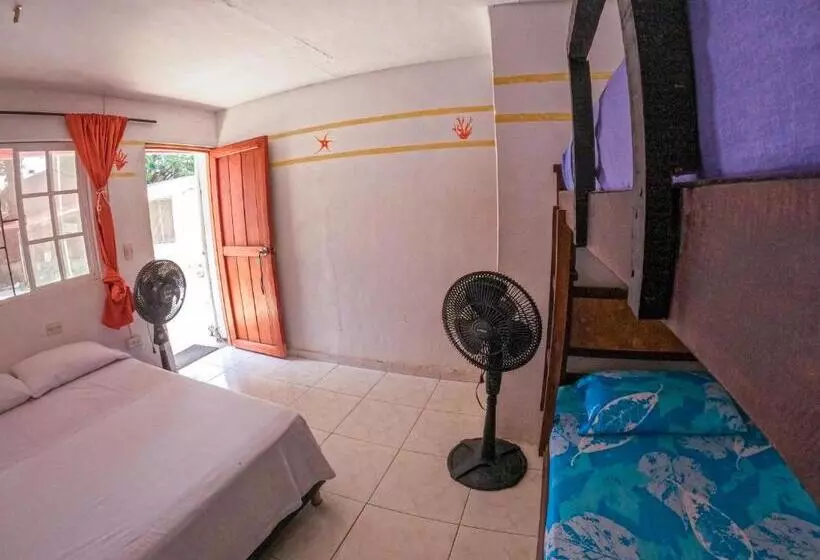 Palomino Hostel