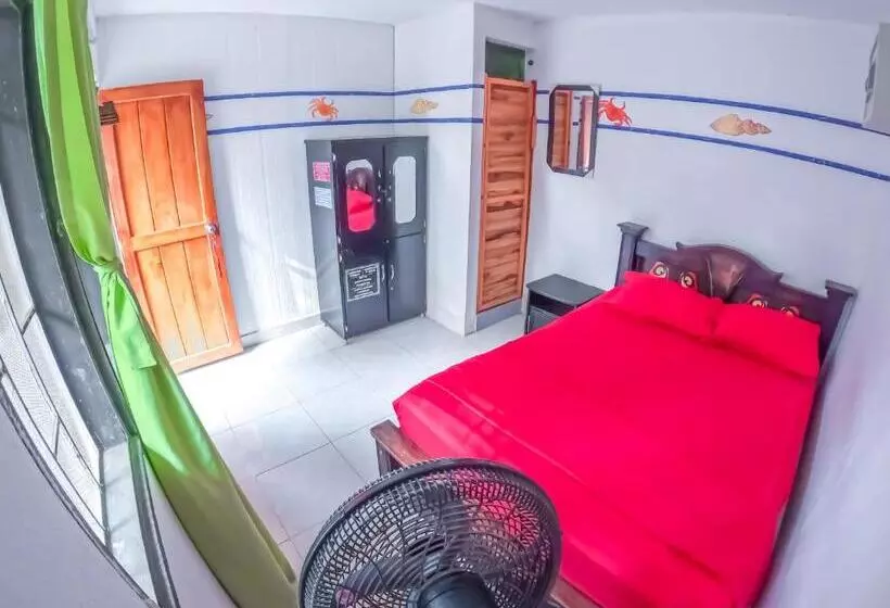 Palomino Hostel