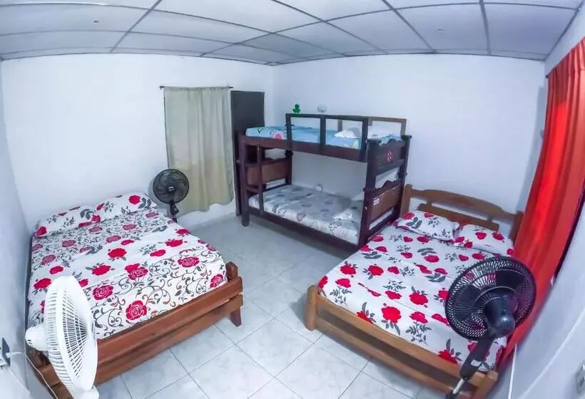 Palomino Hostel