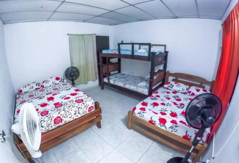 Palomino Hostel