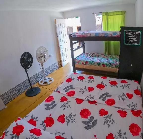 Palomino Hostel