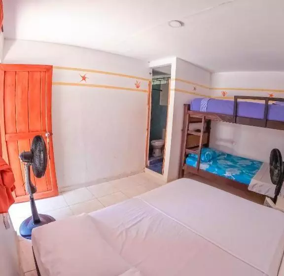 Palomino Hostel