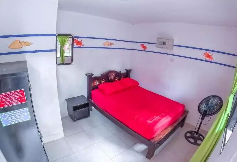 Palomino Hostel