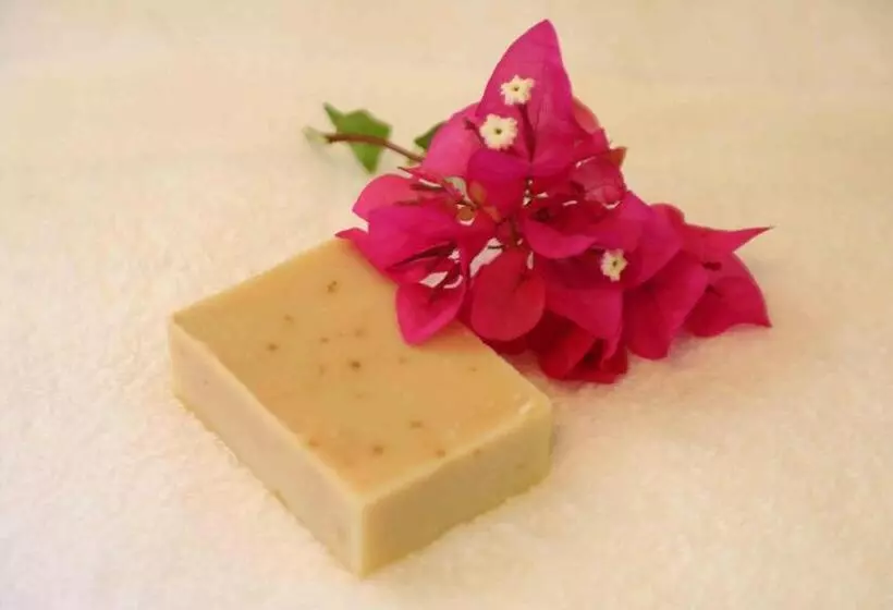 Aamiaismajoitus (B&B) Nomada