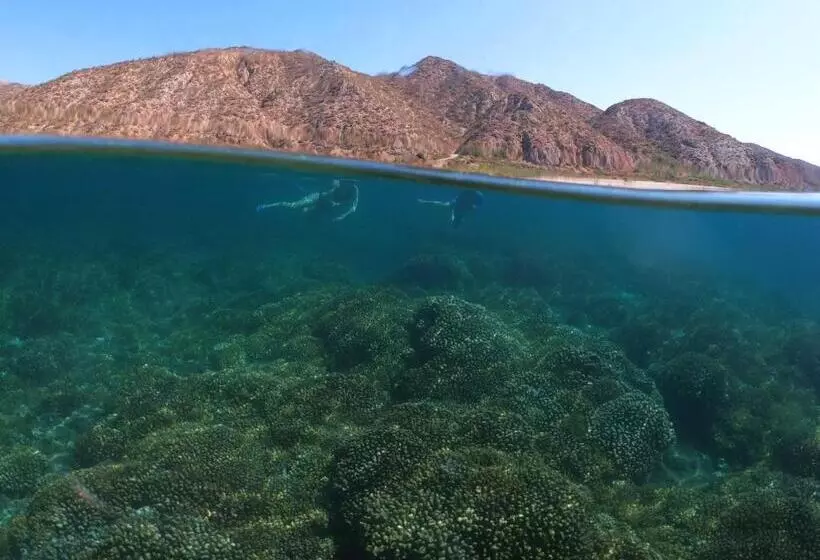 Aamiaismajoitus (B&B) Nomada