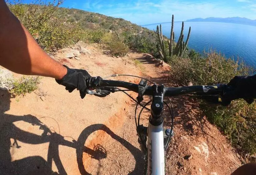 Aamiaismajoitus (B&B) Nomada