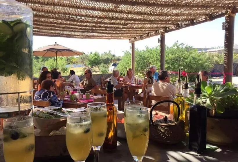 Aamiaismajoitus (B&B) Nomada