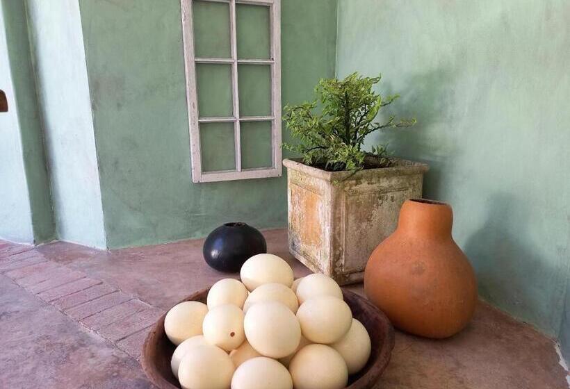 住宿加早餐  Villa Roc Guesthouse   Solar Power