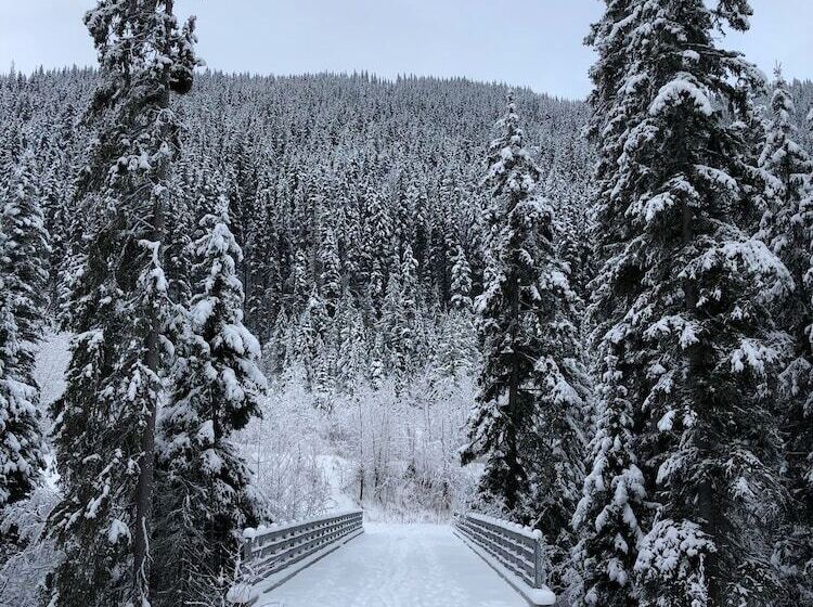 ホテル The Burfield