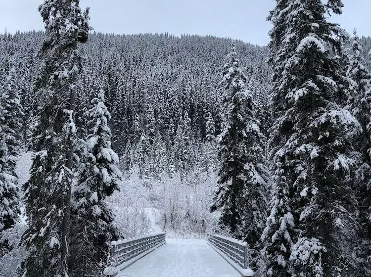 ホテル The Burfield