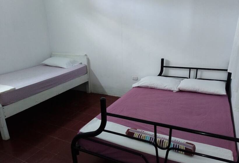 تختخواب و صبحانه Hostel Papagayo