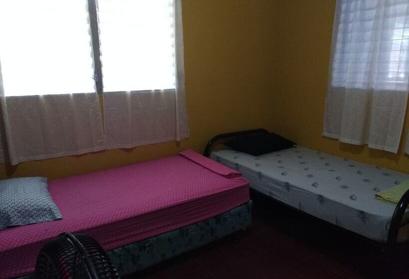 تختخواب و صبحانه Hostel Papagayo