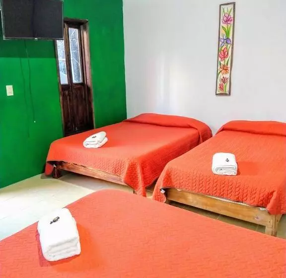 ベッドアンドブレックファースト Posada Jardin Huasteca Xilitla
